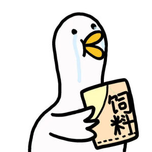 团队头像.
南城花已开.