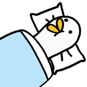 团队头像.
南城花已开.