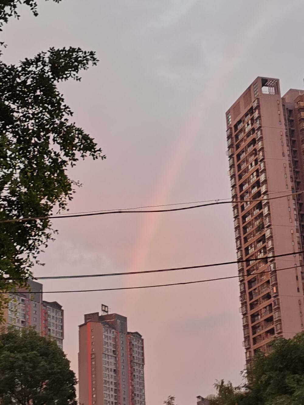 夏日限定 天空 晚霞 夕阳 无滤镜