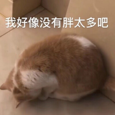 表情包/高甜表情/沙雕表情包/委屈/可爱猫咪/情侣表情包/沙雕/拍一拍/买你一晚/熊猫头/萌宠/萌娃/动态表情包/小企鹅/可可爱爱/运动/高糊小表情/