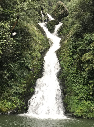 龙潭景区坐落在井冈山北面，黄洋界南麓，距茨坪7公里。这是一个以群瀑集聚为显著特色的景区，素有“五潭十八瀑”之称。仙女潭，是五龙潭中的一潭。仙女潭被当地人誉为“五潭中形态最美之潭”。在瀑布出水口处有一卷…