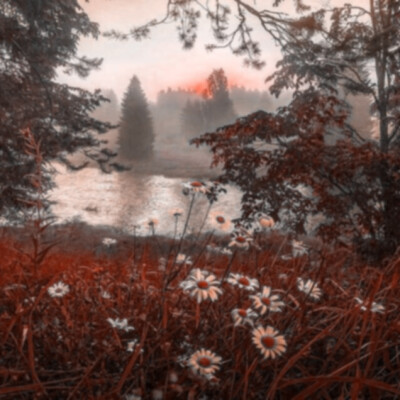 ©甜丞汽水