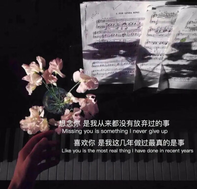 背景图拿图吱声