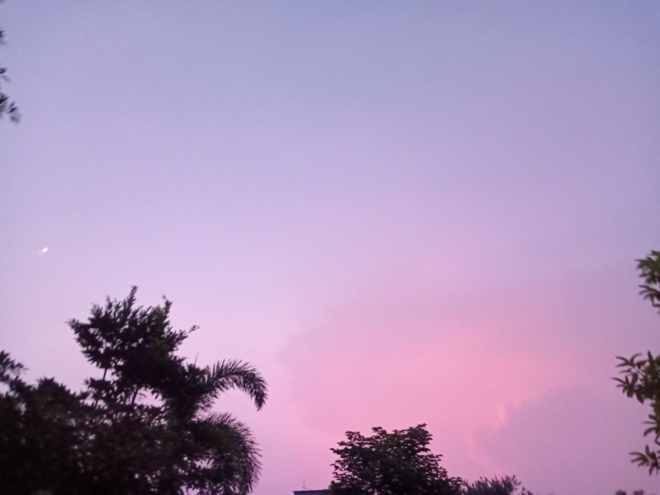 风吹落、星如雨