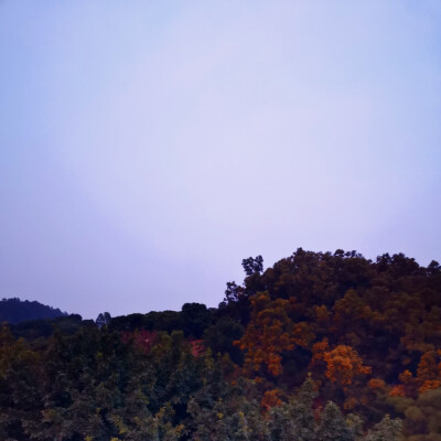 风吹落、星如雨