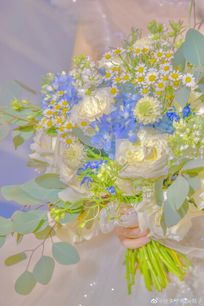 给生活的情书 | 摄影：@迷失于海de瓶子 ​