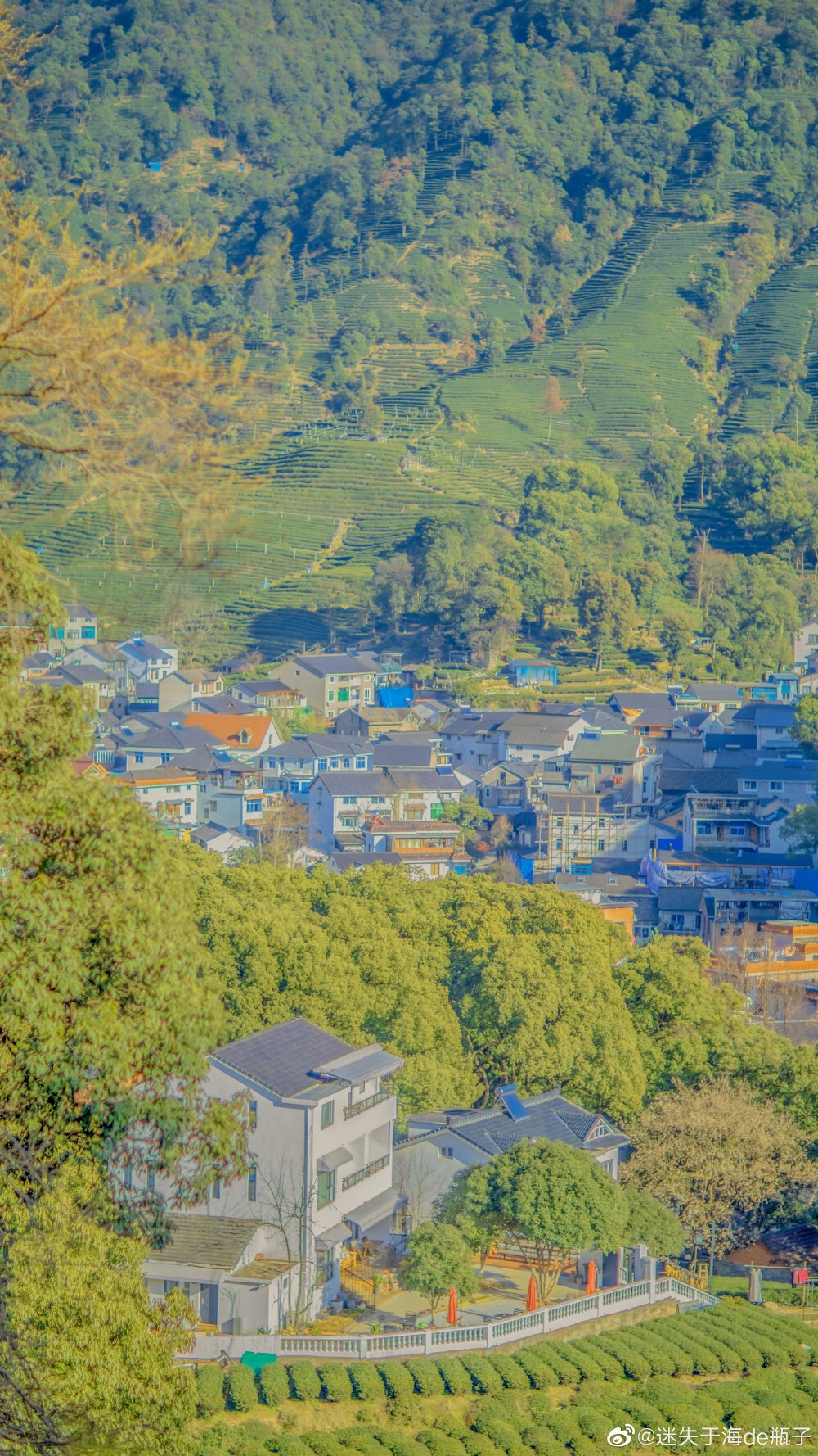 给生活的情书 | 摄影：@迷失于海de瓶子 ​