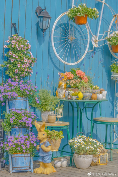 给生活的情书 | 摄影：@迷失于海de瓶子 ​