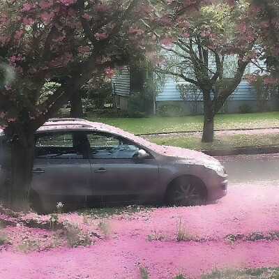 
倘若我问心有愧呢