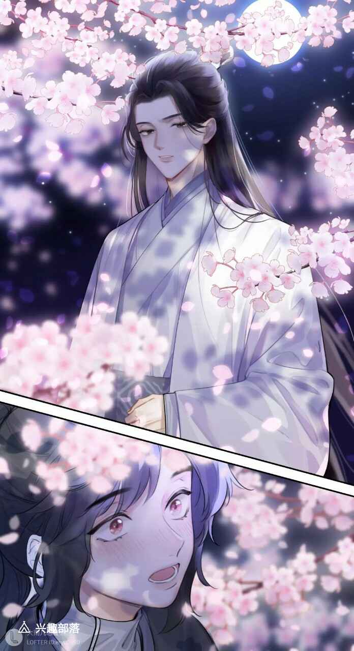 二哈和他的白猫师尊