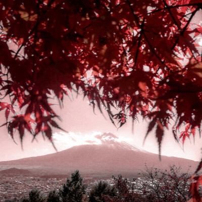 就算错过了 我也很谢谢被你爱的日子