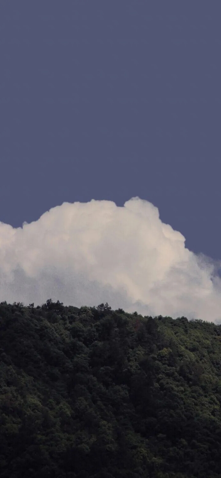 秒赞壁纸
烦恼清除中~