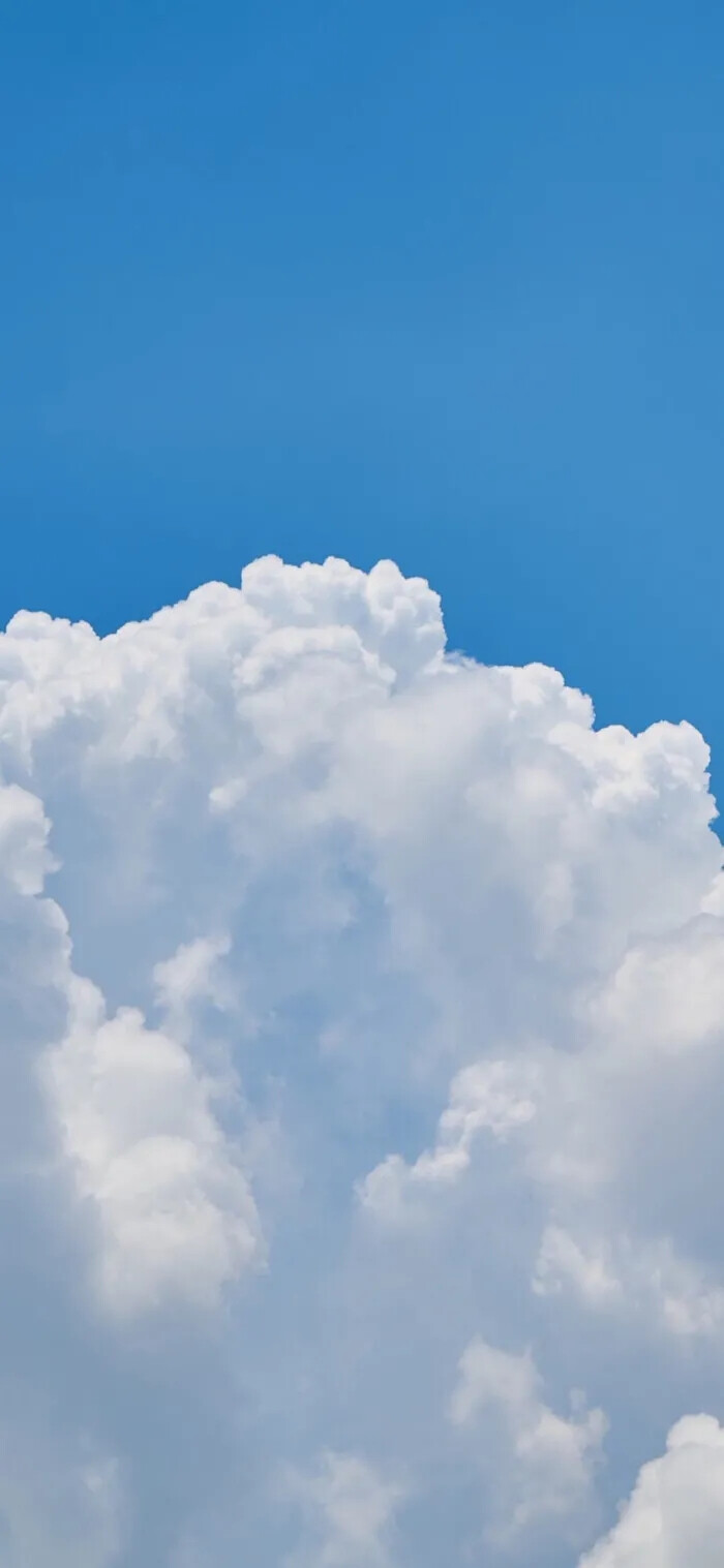 秒赞壁纸
烦恼清除中~