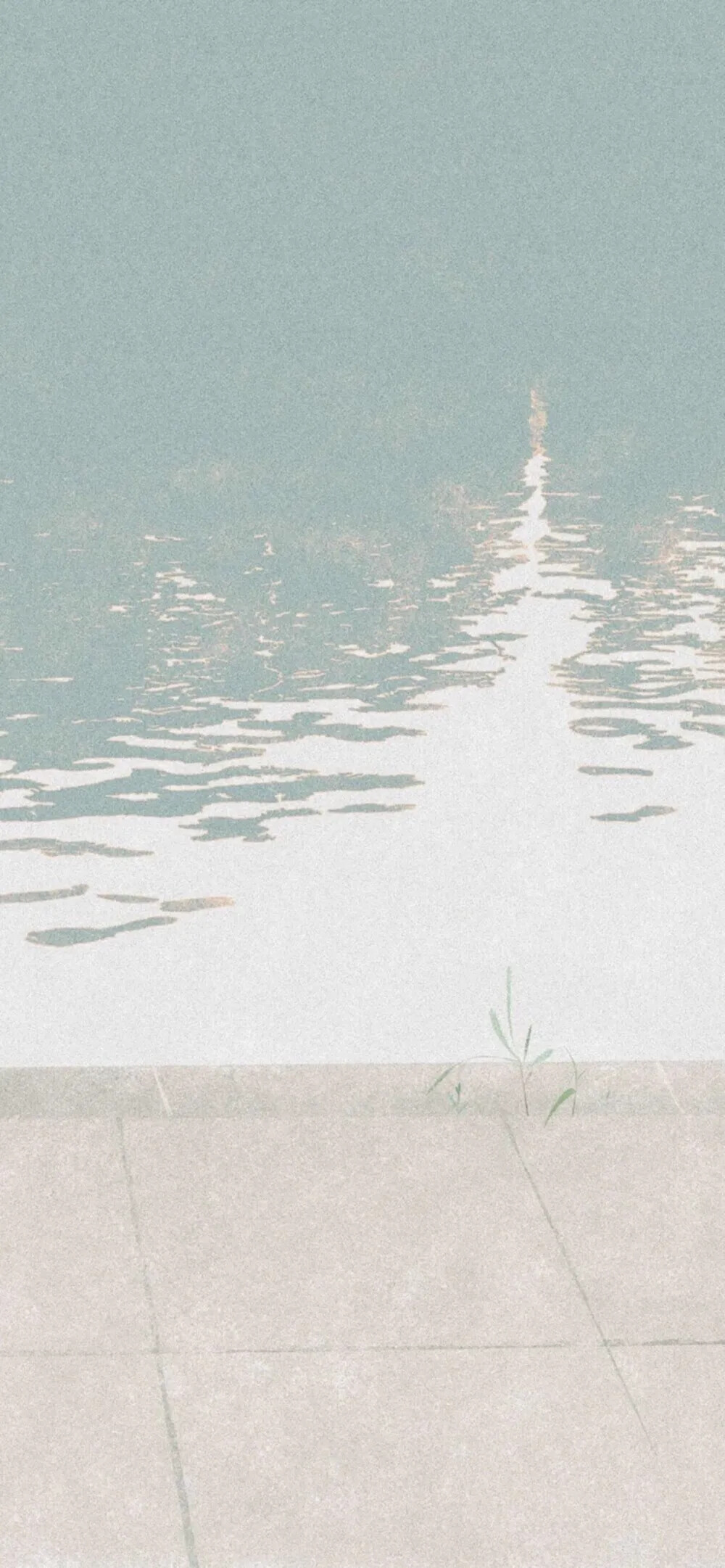 秒赞壁纸
烦恼清除中~