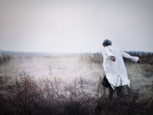 纵使寒冬枯木 你亦葳蕤自生光