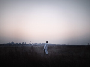 纵使寒冬枯木 你亦葳蕤自生光