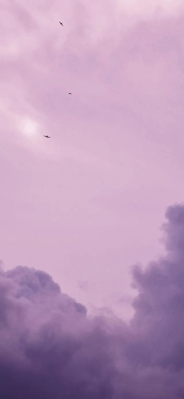 大自然的气息扑面而来