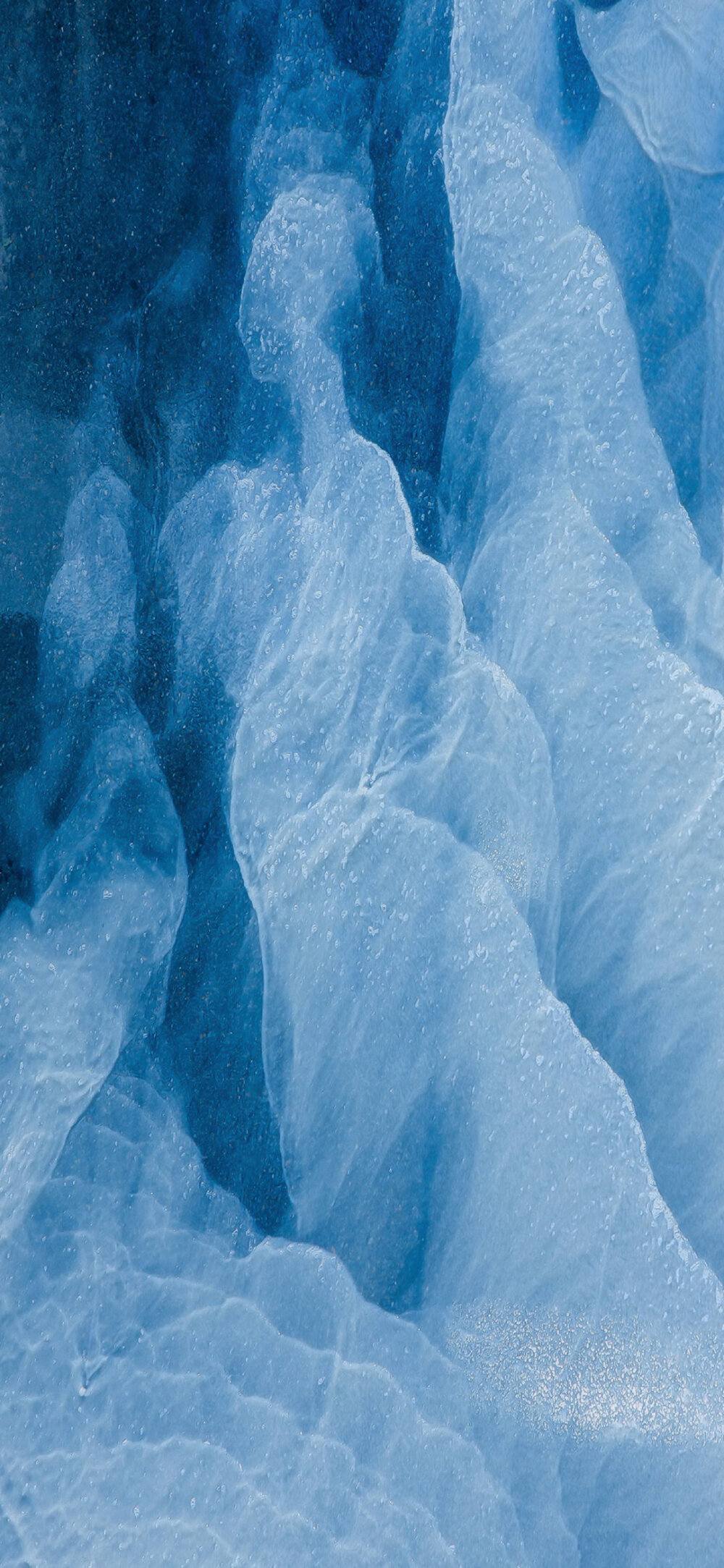 大自然的气息扑面而来