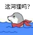 这合理吗