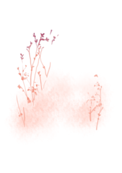  是福利，问问你们下次想要哪个