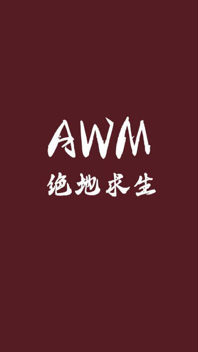 AWM绝地求生