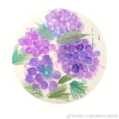 绣球花