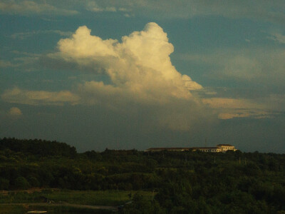 雷雨田