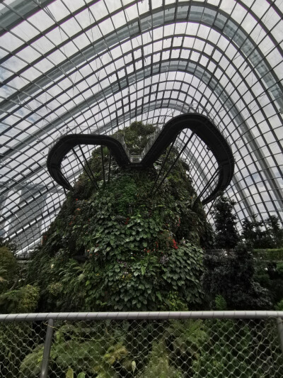 Cloud forest. 滨海湾花园里的温室