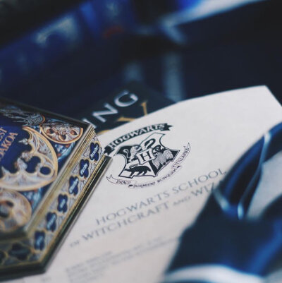 ✨Ravenclaw拉文克劳
“过人的聪明才智是人类最大的财富”
————卢娜·洛夫古德
图源vb 侵权删