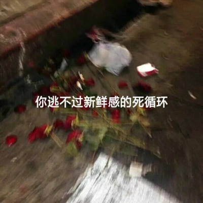 每日分享 | 你逃不过新鲜感的死循环