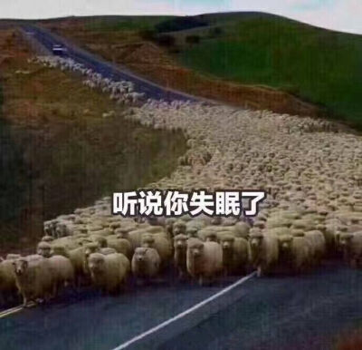 表情包