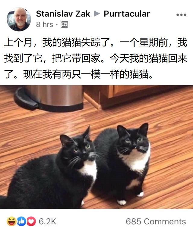 表情包