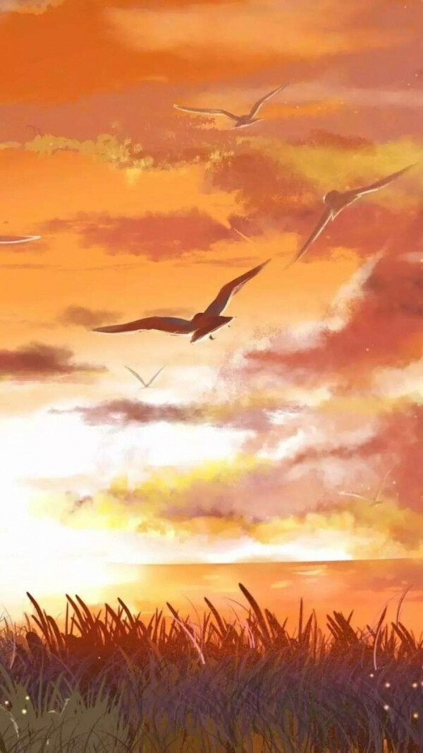 分享橙色系壁纸