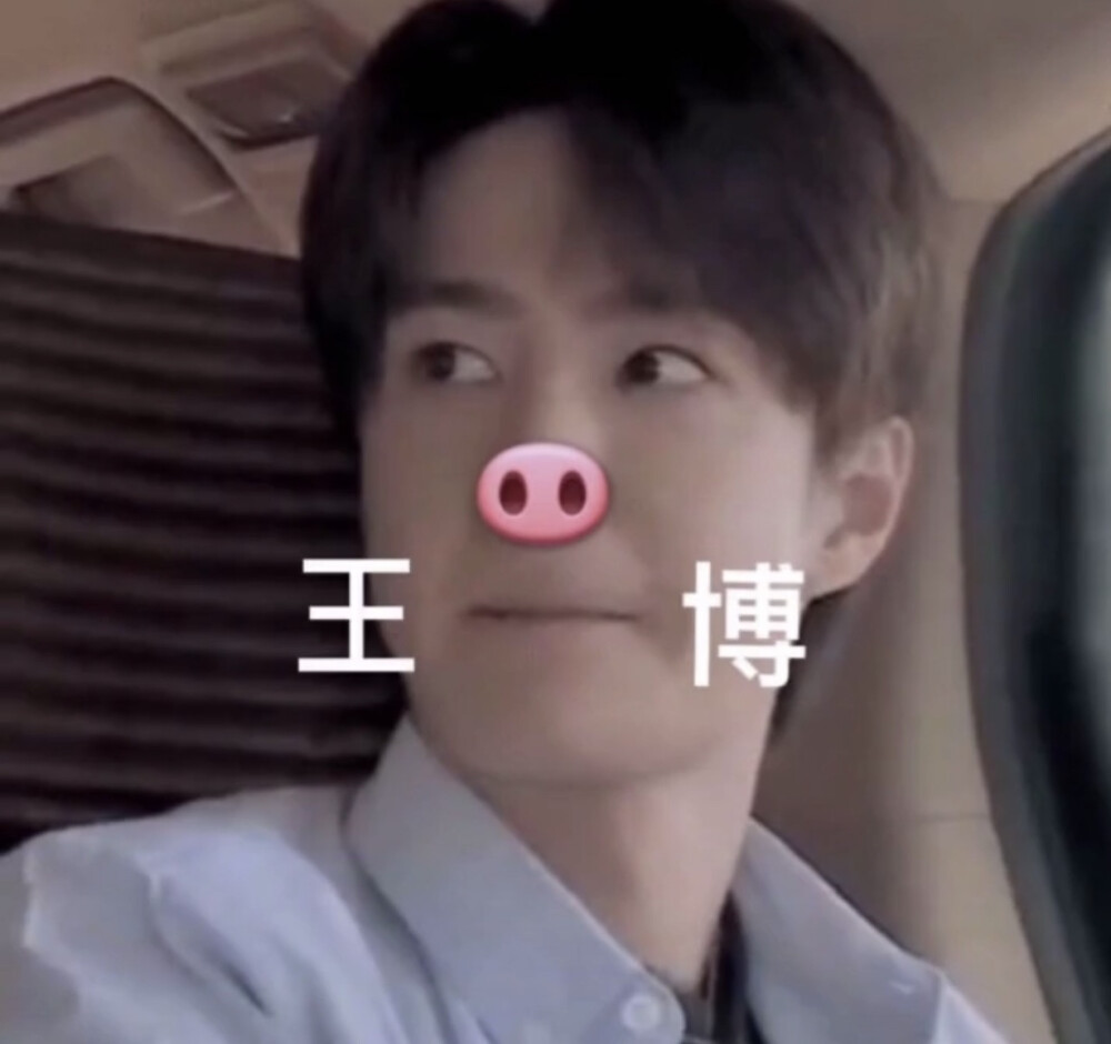王一博表情包
