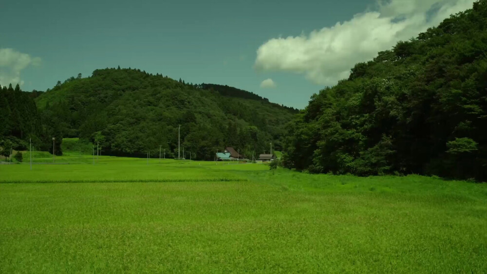 小森林