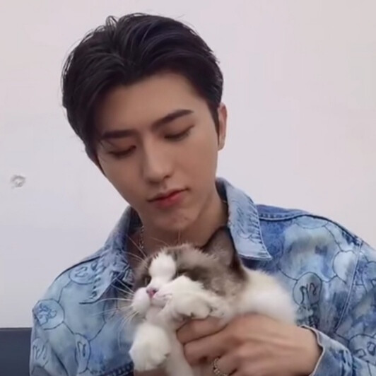 蔡徐坤可二改 简介
我尽力了，