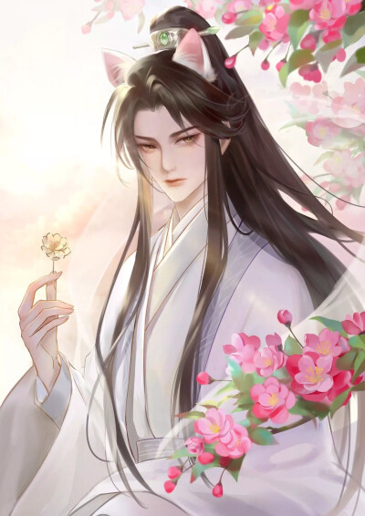 二哈和他的白猫师尊