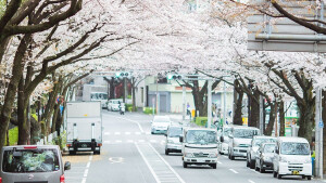 街道。