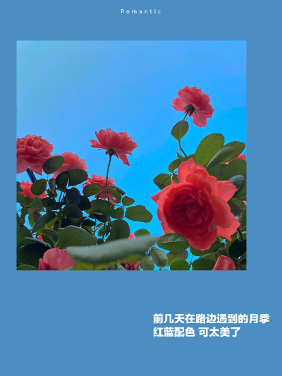 ——
音乐·单车·日落
