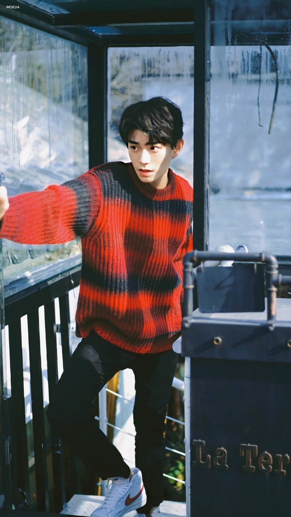 76丁禹兮毛衣壁纸9p