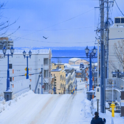 
▪️你 也 想 見 長 山 雪
温鹤煜。
原截郑安语。背景图姜翊鹿。