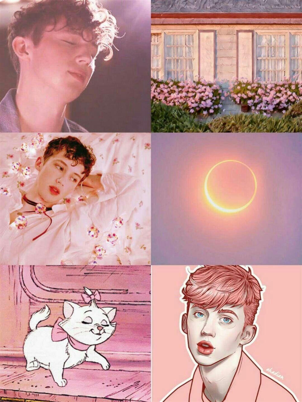 Troye Sivan