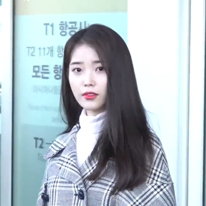 IU
二改看简介