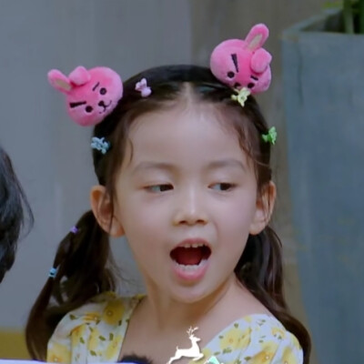 奇妙小森林×婉清丨dt浅浅
可二改