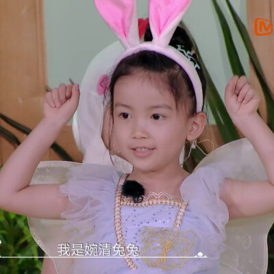 奇妙小森林×婉清丨dt浅浅
可二改