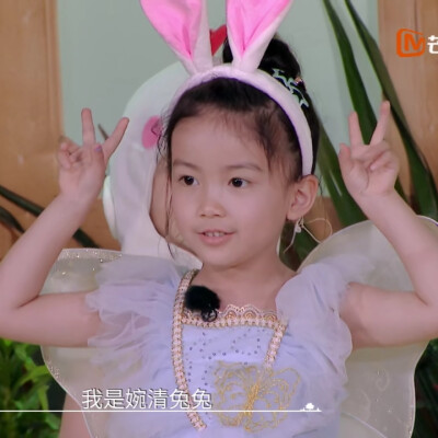 奇妙小森林×婉清丨dt浅浅
可二改