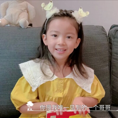 奇妙小森林×婉清丨dt浅浅
可二改