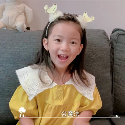 奇妙小森林×婉清丨dt浅浅
可二改