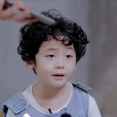 奇妙小森林×多米丨dt浅浅
可二改