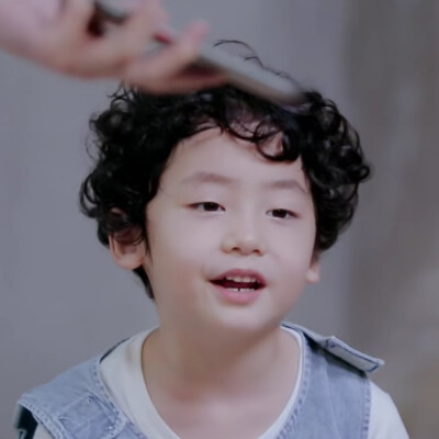 奇妙小森林×多米丨dt浅浅
可二改